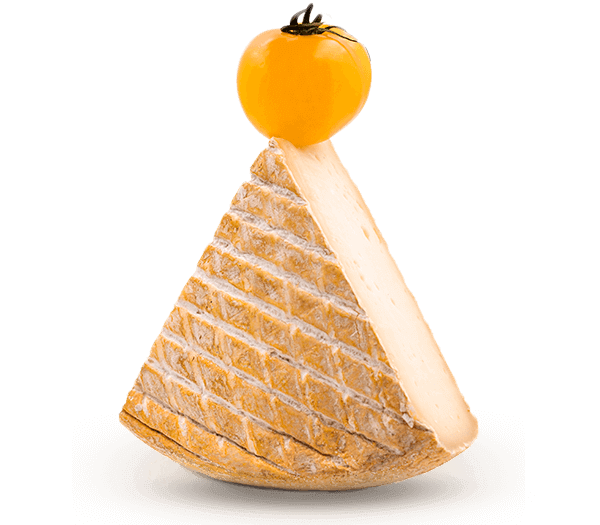 tomme-fromage-Johnny-Blanc-600x525 (1)